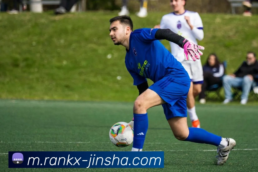 多媒体互动体验